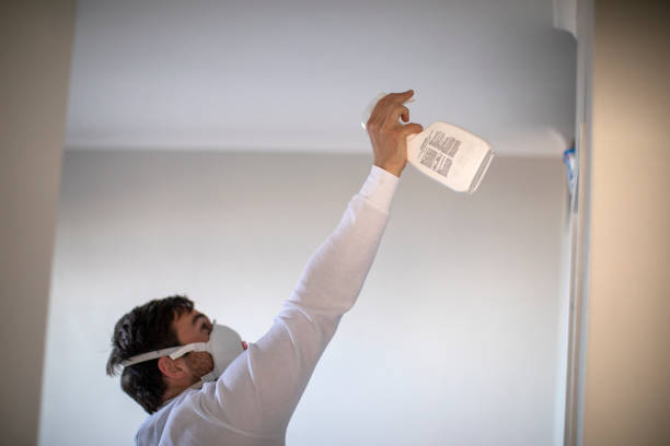 Carol Stream, IL Mold Remediation Company