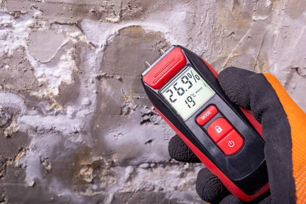 Best Residential Mold Remediation in Carol Stream, IL