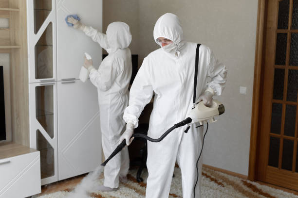 Best Mold Testing and Inspection Services in Carol Stream, IL